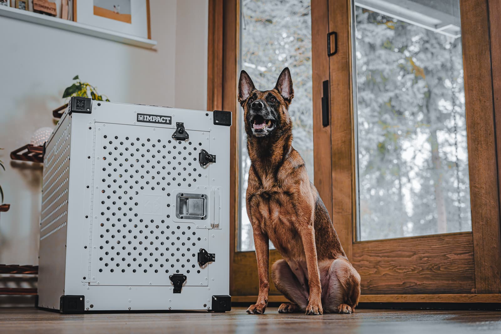 Impact Dog Crates product staged in a home entryway.